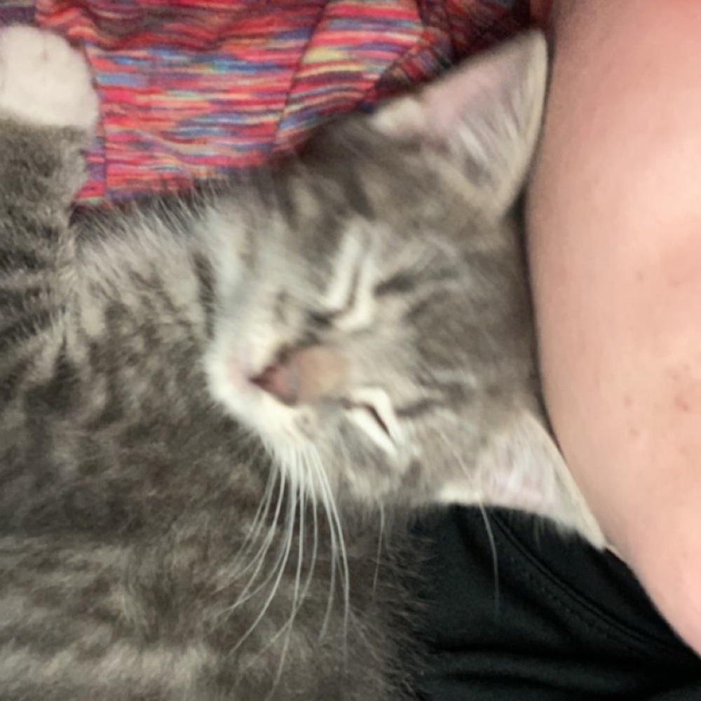 Meet your Posher, Aubrey